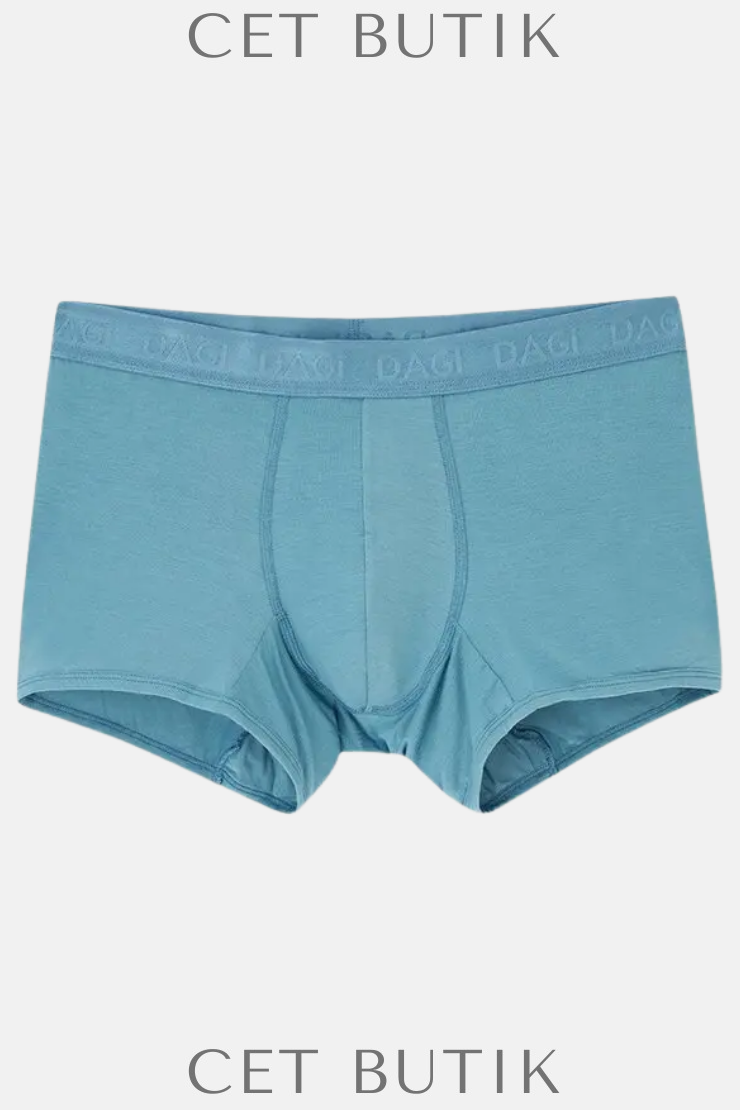 Dagi Light Blue-Navy 4210 3’lü Desenli Micro Modal Boxer Seti