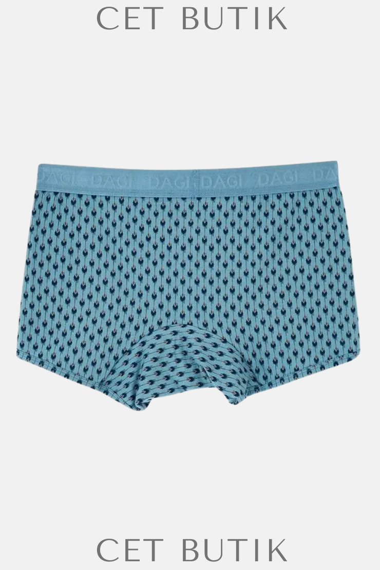 Dagi Light Blue-Navy 4210 3’lü Desenli Micro Modal Boxer Seti