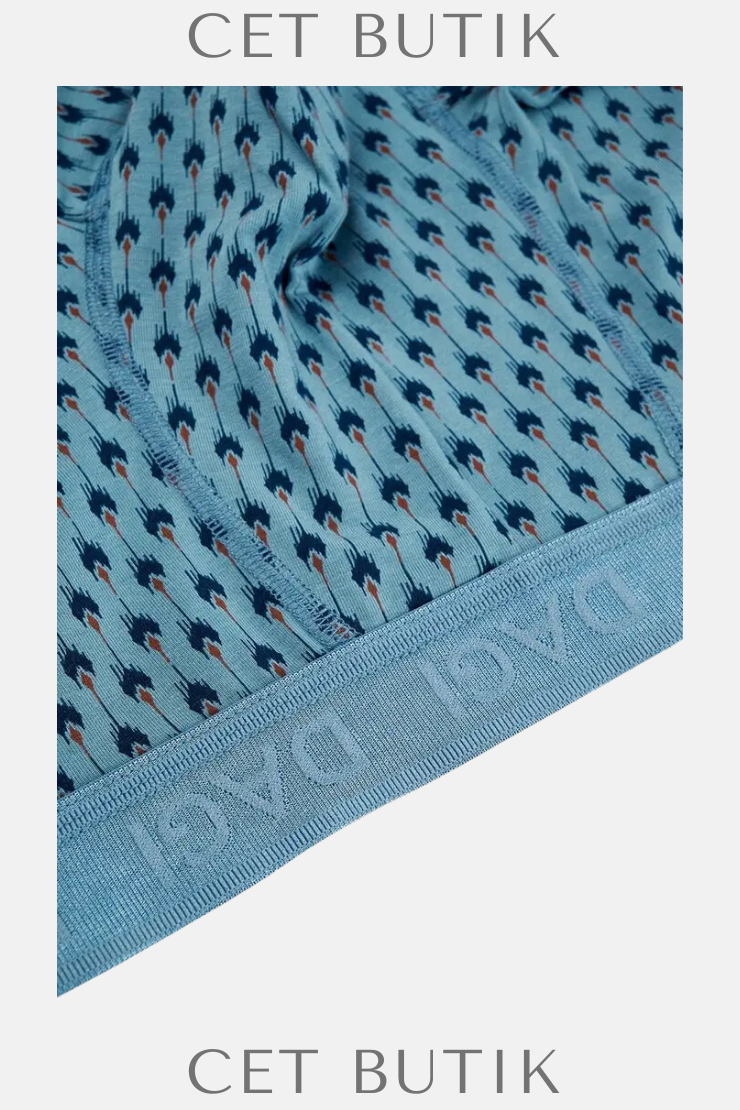 Dagi Light Blue-Navy 4210 3’lü Desenli Micro Modal Boxer Seti